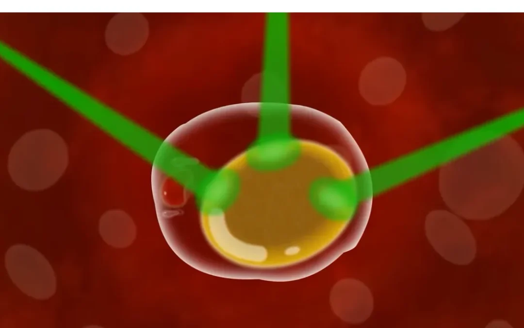 Here you go: 👉 [Download the WebP image](sandbox:/mnt/data/emerald-laser-fat-cell.webp) --- ### **Alt Text (SEO + Contextualized for the Article)** Emerald Laser green wavelength creating temporary pores in a fat cell to release stored lipids for natural lymphatic processing