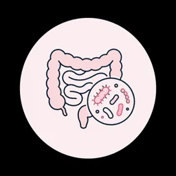 Digestive system and microbiome icon representing gut health and lab testing